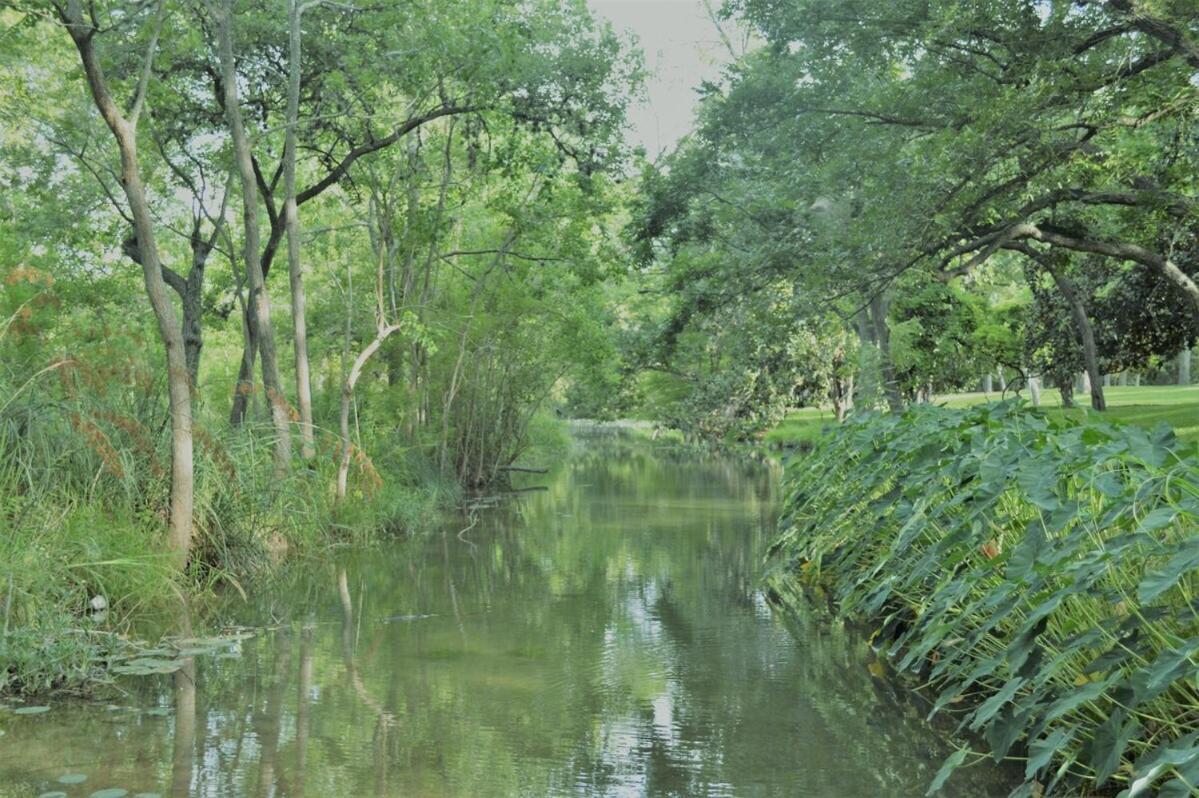 Messina Inn Wimberley Bilik gambar